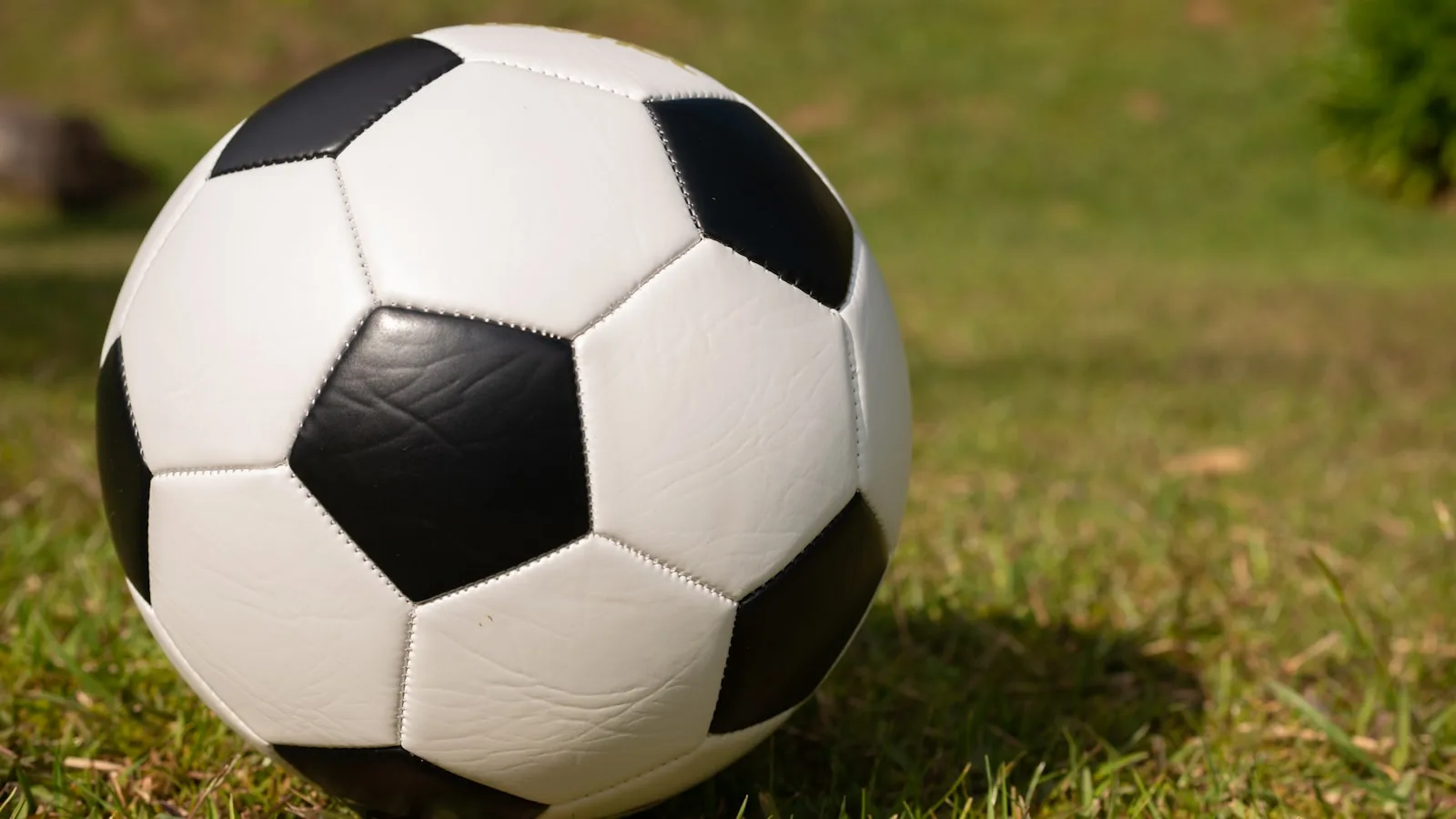 Ballon de football posé sur la pelouse illustrant le suivi des matchs en IPTV