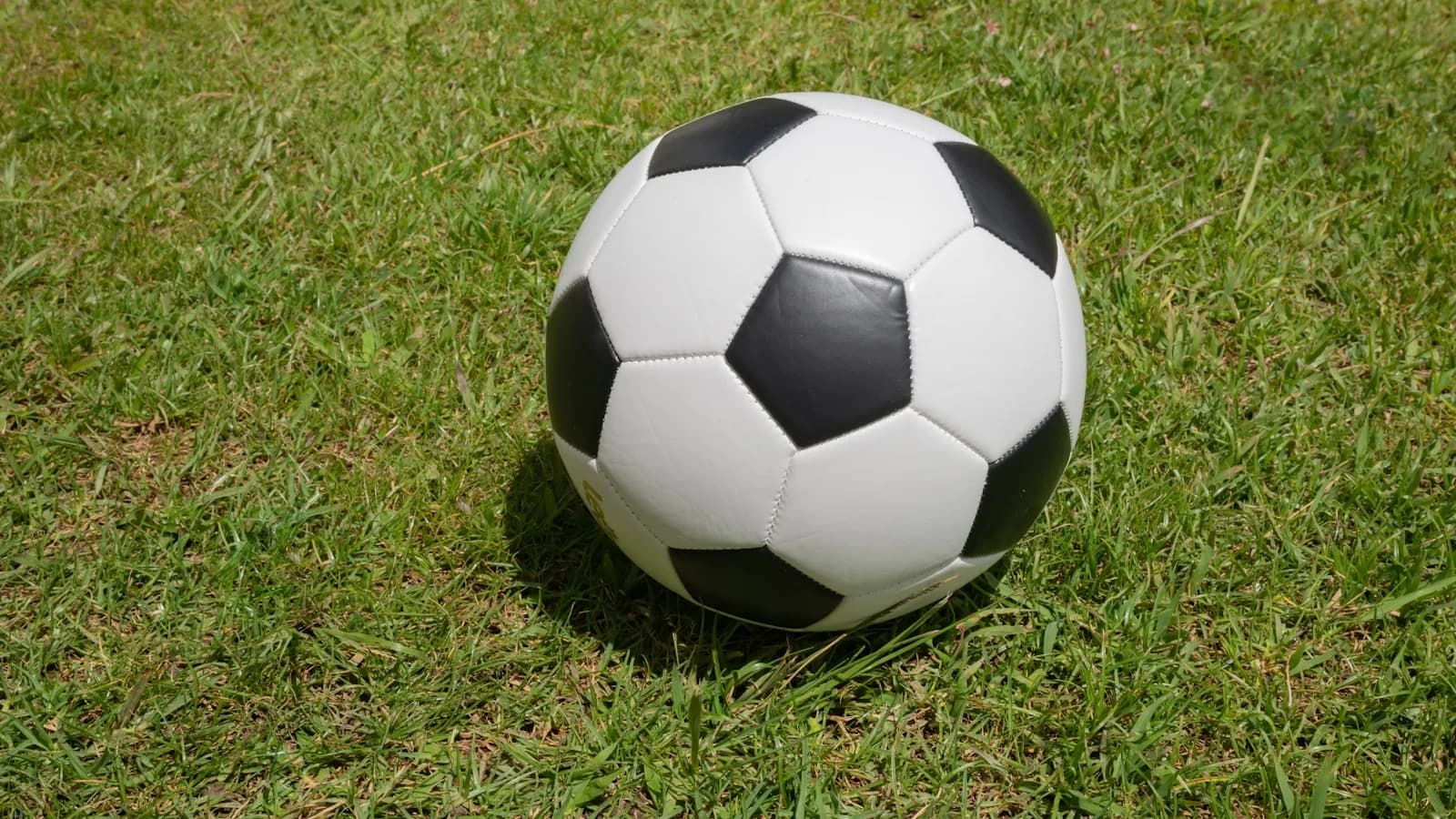 Ballon de football sur l'herbe illustrant la diffusion de la Ligue 1 en IPTV