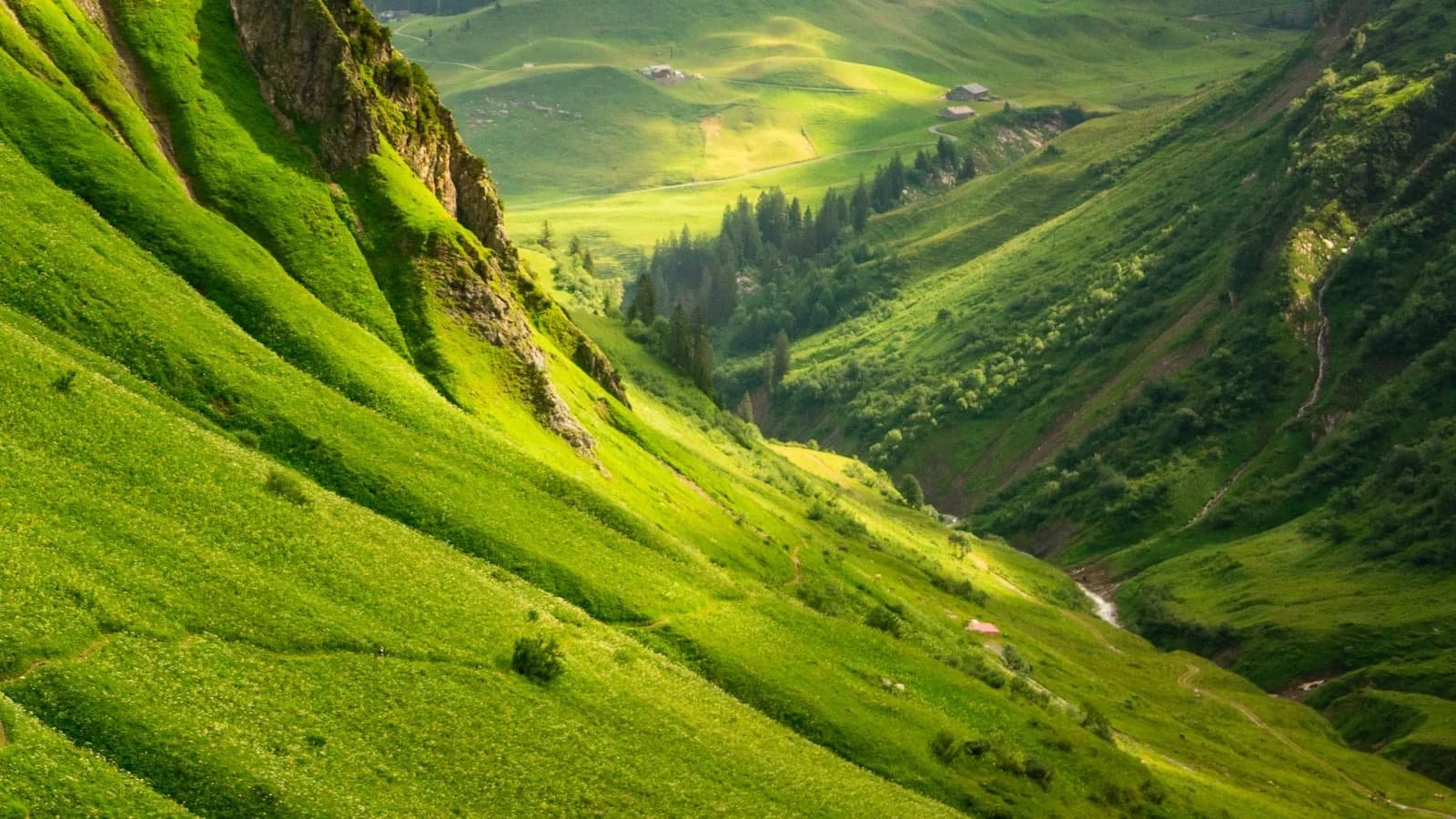 Paysage aux couleurs nettes illustrant la qualité d'image IPTV 4K